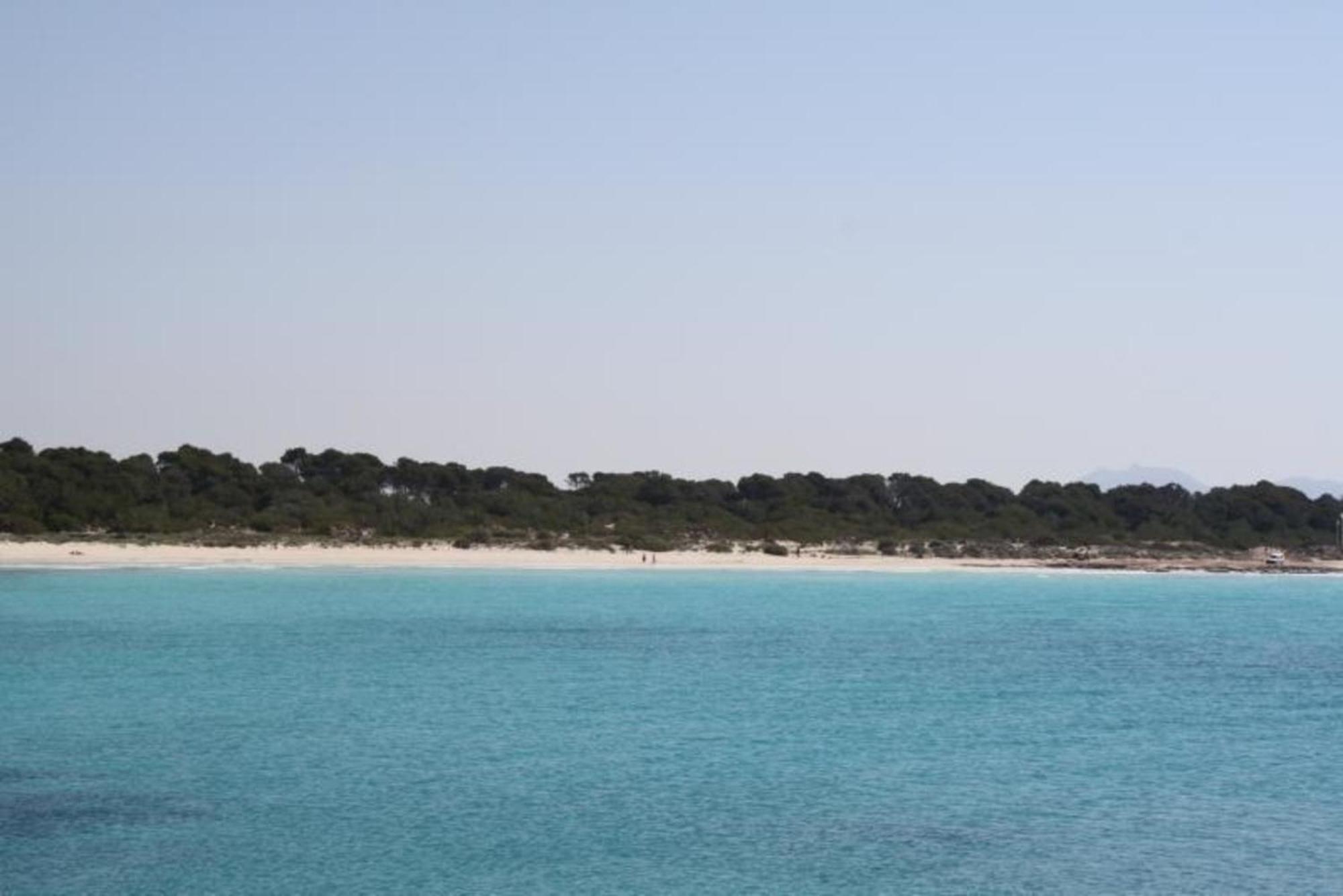 Moderne Reihenhaeuser Mit Gemeinschaftspool In Strandnaehe Und Golfplaetzen In Der Umgebung - A88107 * Sa Ràpita